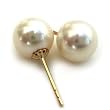 HinsonGayle AAA 7.5-8.0mm White Pearl Stud Earrings (14kYG)