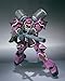 Bandai Tamashii Nations #83 Geara Zulu Angelo Sauper Custom Robot Spirits
