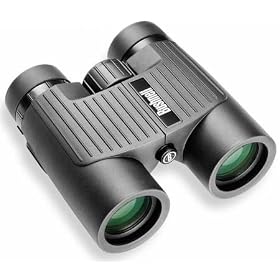 Click here to buy Bushnell 24-0832 Excursion 8x 32mm Roof Prism Binoculars by Bushnell.