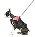 Gooby Padded Vest Dog Jacket - Pink, Small - Warm Zip Up Vest Fleece Jacket with Dual D Ring Leash Water Resistant for Small to Medium Dogs