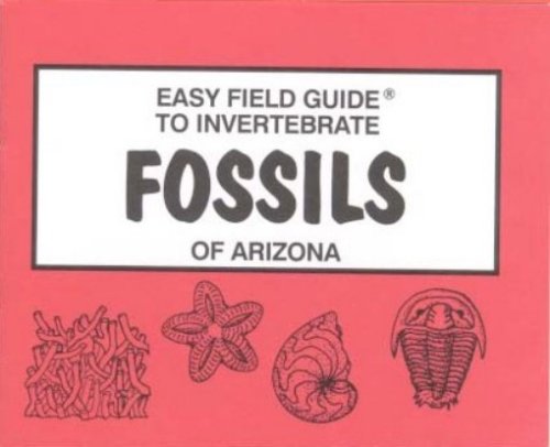 Arizona