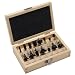 Bosch 15 Piece Router Set