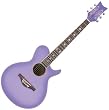 Daisy Rock WildWood Acoustic Short Scale Guitar, Purple Daze