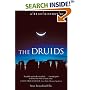 A Brief History of the Druids (Brief History)