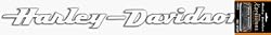 Harley Davidson Xpressionz Windshield Decal (Script)