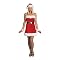Christmas Gift Costume - Adult (1-Size)