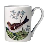 Portmeirion Birds of Britain Earthenware 10-Ounce Mug, Set of 6