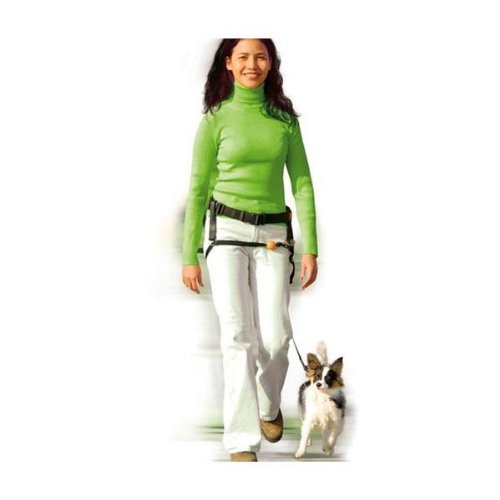 Karlie 31876 - Prof. Lind - Lind Guide - 40 mm, 140 cm + 20mm, 130 cm, schwarz Preisvergleich