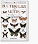 Butterflies and Moths (Eyewitness Handbooks)