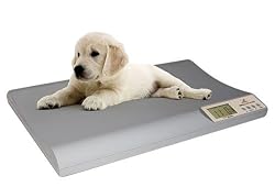 Digital Pet Scale