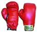 Everlast Boxing Gloves