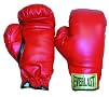 Everlast Boxing Gloves