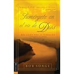 Sum?rgete en el Rio de Dios: Una Vision para la Adoracion Congregacional book cover