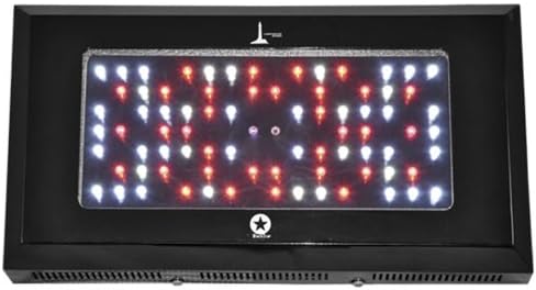 240W LED Grow Light Lighthouse Hydro BlackStar 240 Watts Veg/Clone