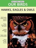 Hawks, Eagles  Owls of North America v3.9