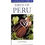 Photographic Guide To Birds of Peru