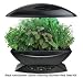 AeroGrow AeroGarden with Gourmet Herb Seed Kit, Black