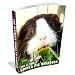 Guinea pig starter kit