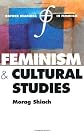 Feminism and Cultural Studies (Oxford Readings in Feminism)