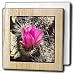 Flower on Hedgehog Cactus also called Calico Cactus.Anza-Borrego Desert State Park, California - 6 Inch Tile Napkin Holder