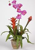 Double Bromeliad / Orchid Silk Flower Arrangement - Orchid - B001DQH6DO