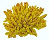 Deco Art Ornament Xl Acropora Colony Yellow 8 X 7 X 4