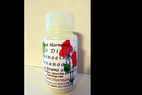Diethyl Aminoethyl Hexanoate (Da-6) 98% 25 Grams by CarolynsYardSale