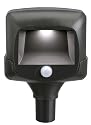 Mr. Beams MB 542 Battery Powered Motion Sensing LED Remote Path Light, 2-Pack