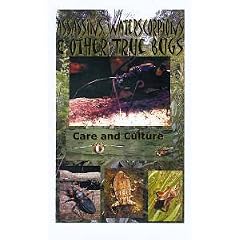 Allpet Roaches; Care and Identification Handbook for the Pet and Feeder Cockroaches