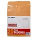 LePage's Clasp Envelopes, 9 x 12 Inch, 20 pack (GLD11514)