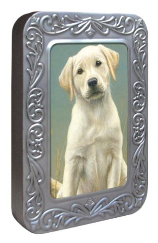Tree-Free Greetings Noteables Notecards In Reusable Embossed Tin, 12 Card Assortment, Recycled, 4 x 6 Inches, Puppy Dog Eyes, Multi Color (76036)