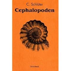 Cephalopoden der oberen deutschen Kreide