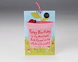 Whooaaah Wishes Flower Pot Birthday Card