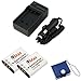 GTMax 2 x EN-EL11 / LI-60B / D-LI78 Compat Battery + Travel AC/DC Charger with Car Adapter + Memory Card Case Nikon CoolPix S560, CoolPix S550; Olympus FE-370; Pentax Optio S1, Optio W80, Optio W60 Digital Camera