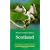 Where to Watch Birds in Scotland