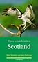 Where to Watch Birds in Scotland