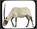 Mouse Pad with Arabian, endangered, captivity, mammal, African, oryxe, zoo, oryx, antelope, animal, species, horns