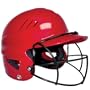 Rip-It Face Guard for Baseball