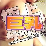 極上4時間巨乳 [DVD]