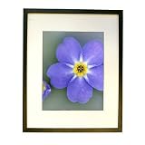 Review Target Corporation  / Gallery Frame - Black (16x20