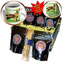 Dogs Irish Setter - Irish Setter - Coffee Gift Baskets - Coffee Gift Basket by Decaf Espresso Roast