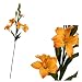 Single Stem Fresia - Golden Yellow - Artificial Flower