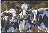 DAIRY QUEENS DOORMAT Art by Bonnie Marris