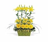 Teleflora's Yellow Garden Rows