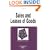 Sales and Leases of Goods in a Nutshell (Nutshell Series)