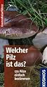 Welcher Pilz ist das?: 170 Pilze einfach bestimmen. Basic