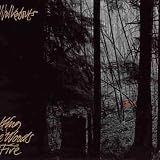 The Walkabouts -  Setting the Woods on Fire