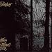 Walkabouts Setting the Woods on Fire tabs review