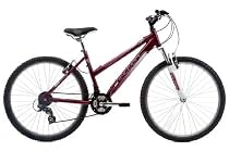 Raleigh Waterfront 26inch Wheel 14inch Frame Ladies Bicycle