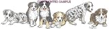 Australian Shepherd - Puppies in a Row by Cindy Farmer